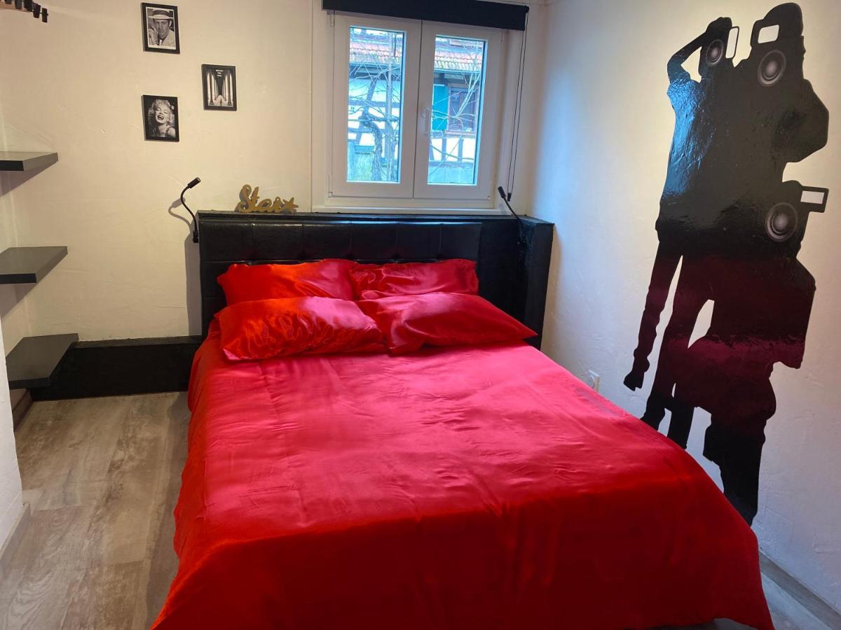 Le Cinema Apartment Soultz-sous-Forets Ngoại thất bức ảnh