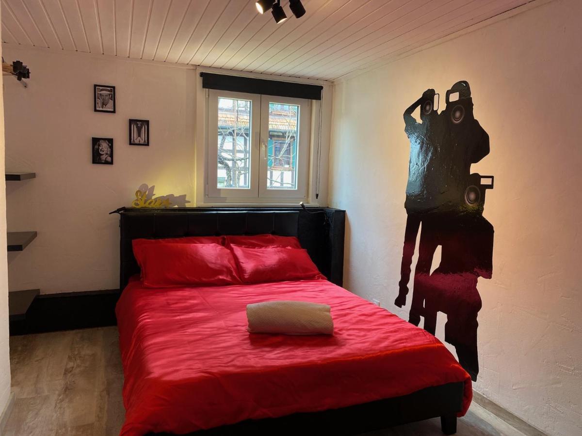Le Cinema Apartment Soultz-sous-Forets Ngoại thất bức ảnh